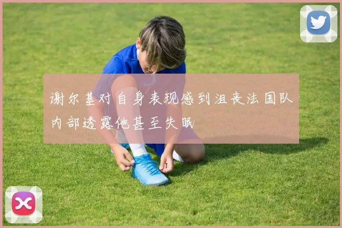 谢尔基对自身表现感到沮丧法国队内部透露他甚至失眠