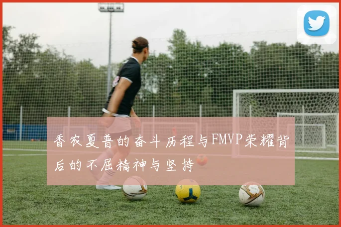 香农夏普的奋斗历程与FMVP荣耀背后的不屈精神与坚持